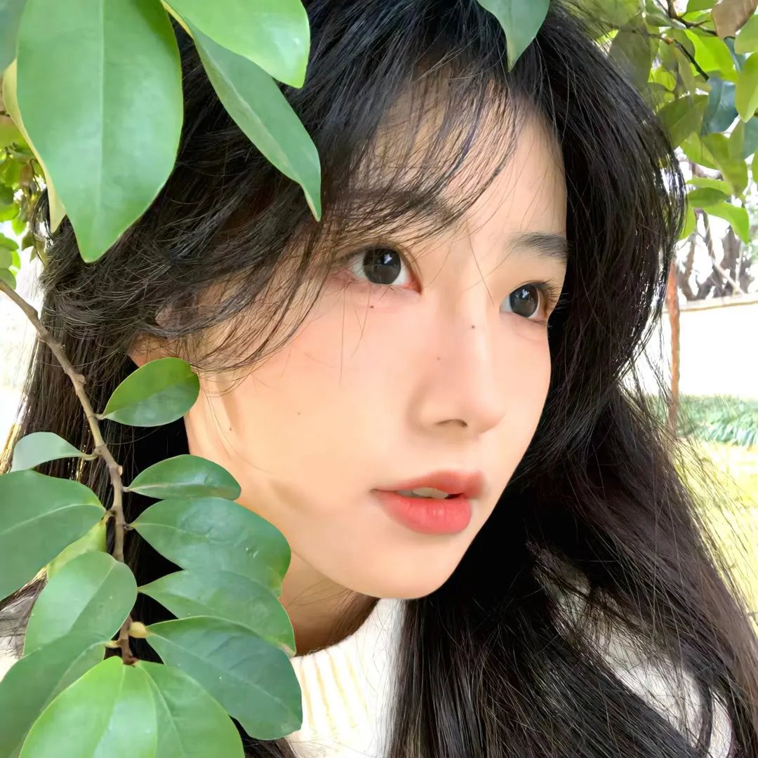 持摄像机的人